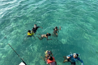 Roatan Nurse Shark Snorkeling Tour with Lunch
